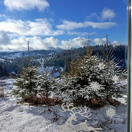 зоряне небо *