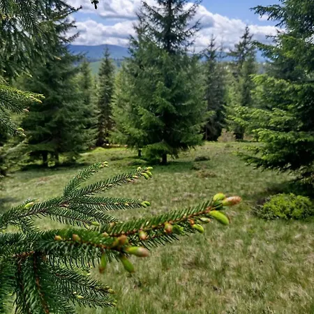 зоряне небо Hébergement de vacances *