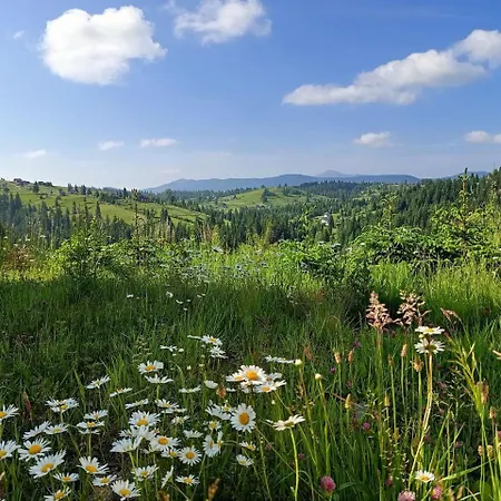 зоряне небо *