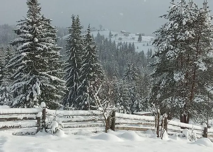 Nyaraló зоряне небо *